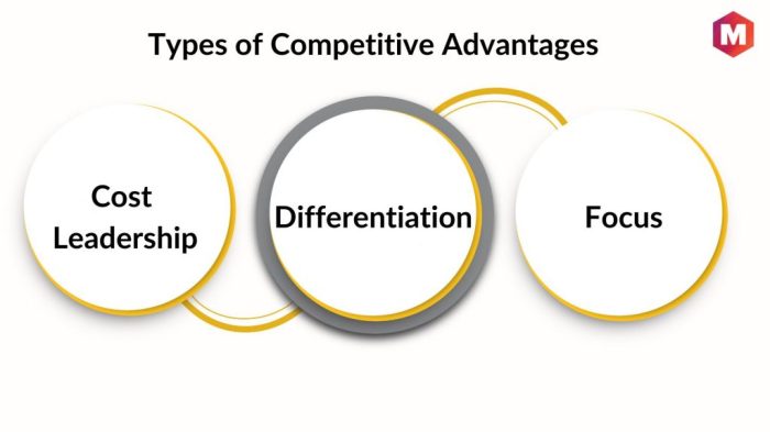 Advantage competition strategic strategy differentiation thebalance leadership following entity