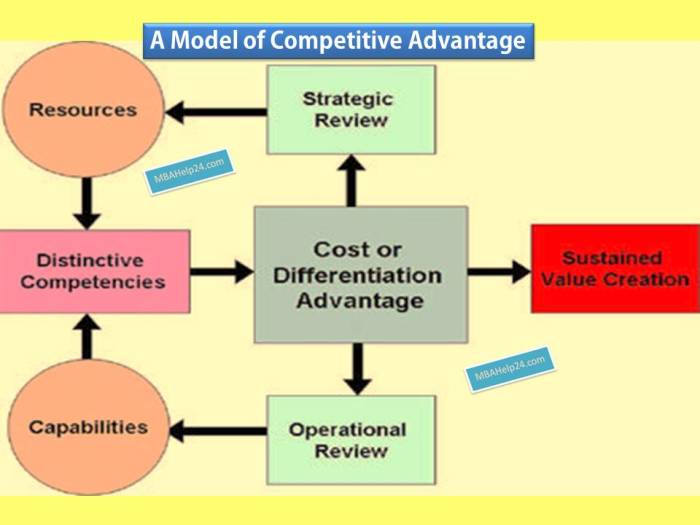 Advantage competitive positioning differentiation